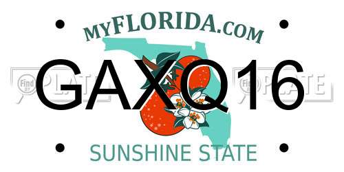 GAXQ16 Florida License Plate