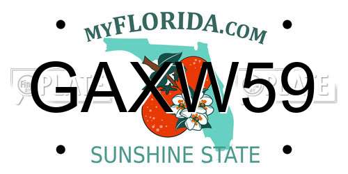GAXW59 Florida License Plate