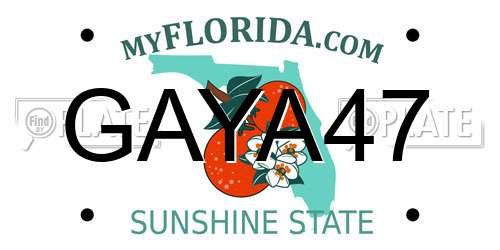 GAYA47 Florida License Plate