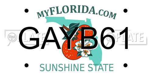 GAYB61 Florida License Plate