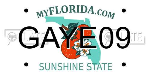 GAYE09 Florida License Plate