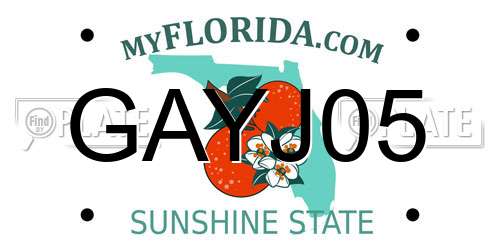 GAYJ05 Florida License Plate