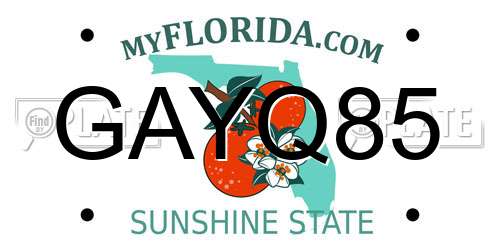 GAYQ85 Florida License Plate