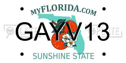 GAYV13 Florida License Plate