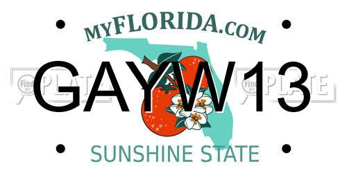 GAYW13 Florida License Plate