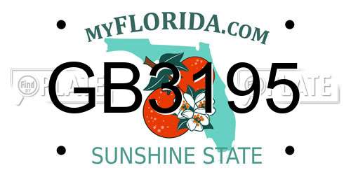 GB3195 Florida License Plate