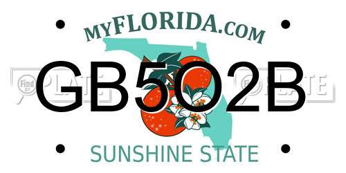 GB5O2B Florida License Plate