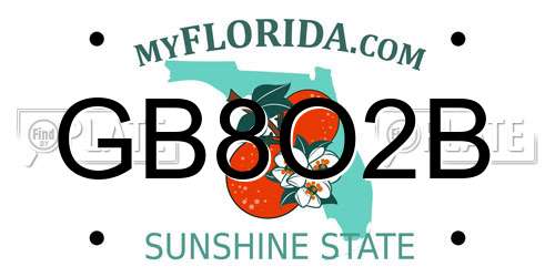 GB8O2B Florida License Plate