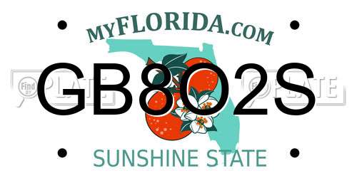 GB8O2S Florida License Plate