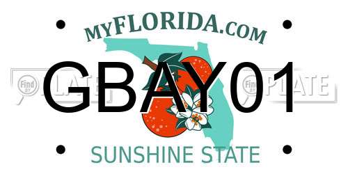 GBAY01 Florida License Plate