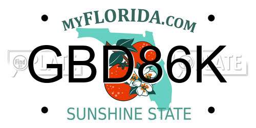 GBD86K Florida License Plate