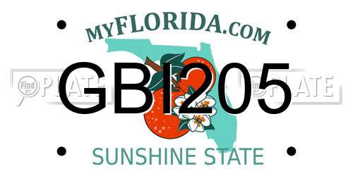 GBI205 Florida License Plate