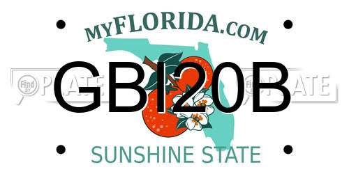 GBI20B Florida License Plate