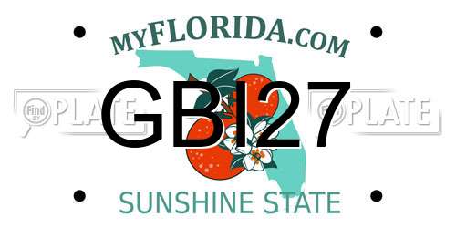 GBI27 Florida License Plate
