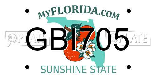 GBI705 Florida License Plate