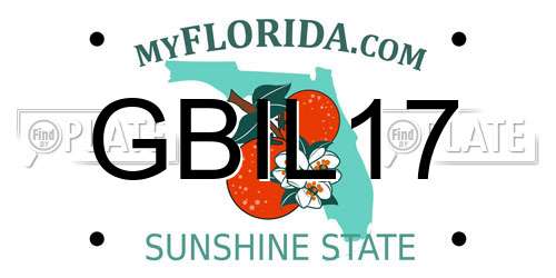 GBIL17 Florida License Plate