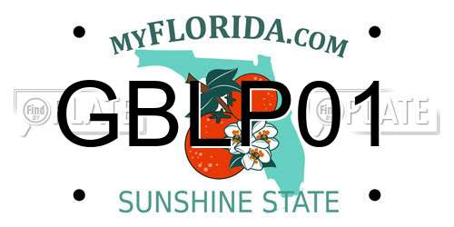 GBLP01 Florida License Plate