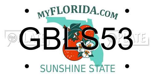 GBLS53 Florida License Plate