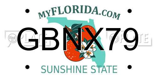 GBNX79 Florida License Plate