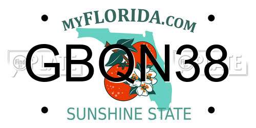 GBQN38 Florida License Plate
