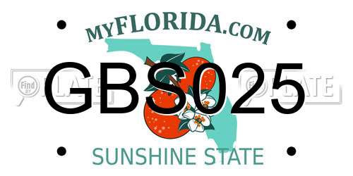 GBS025 Florida License Plate