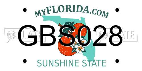 GBS028 Florida License Plate