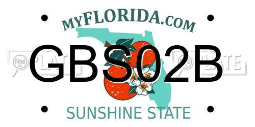 GBS02B Florida License Plate
