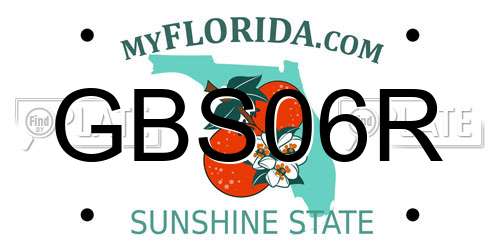 GBS06R Florida License Plate
