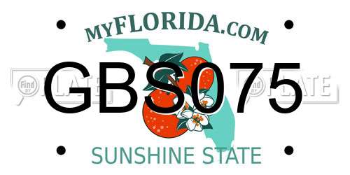 GBS075 Florida License Plate