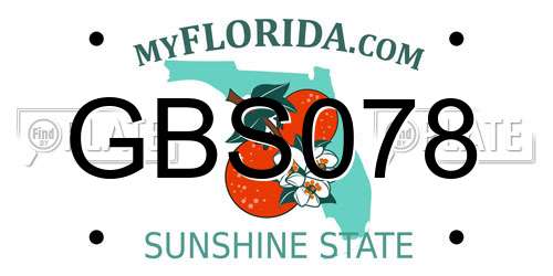 GBS078 Florida License Plate