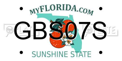 GBS07S Florida License Plate