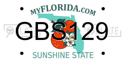 GBS129 Florida License Plate
