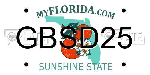 GBSD25 Florida License Plate
