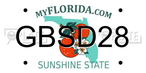 GBSD28 Florida License Plate