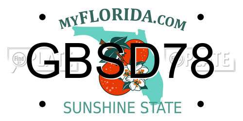 GBSD78 Florida License Plate