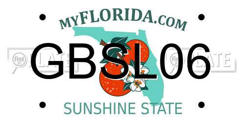 GBSL06 Florida License Plate