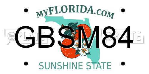 GBSM84 Florida License Plate
