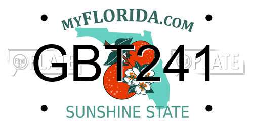 GBT241 Florida License Plate