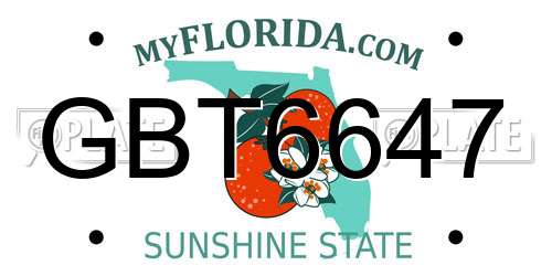 GBT6647 Florida License Plate