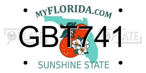 GBT741 Florida License Plate