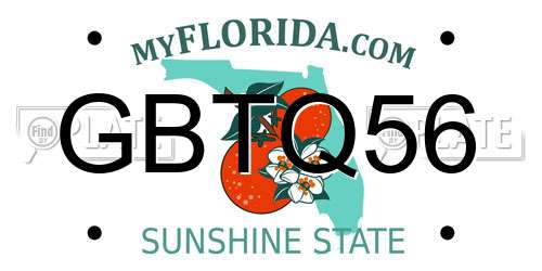 GBTQ56 Florida License Plate