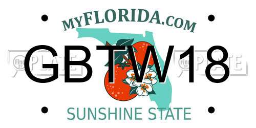 GBTW18 Florida License Plate