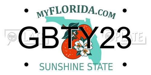 GBTY23 Florida License Plate
