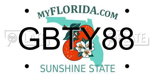 GBTY88 Florida License Plate