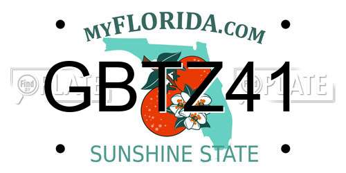 GBTZ41 Florida License Plate