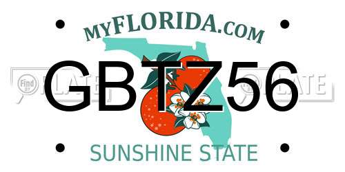 GBTZ56 Florida License Plate