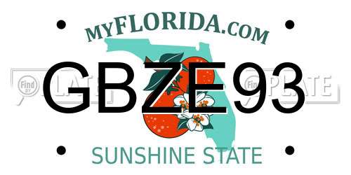 GBZE93 Florida License Plate