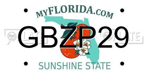 GBZP29 Florida License Plate