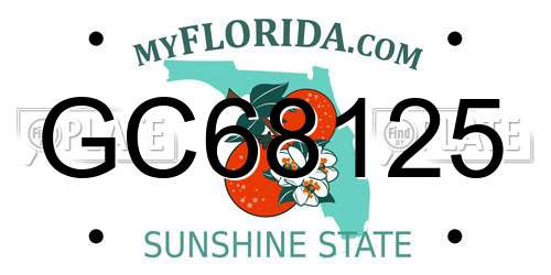 GC68125 Florida License Plate