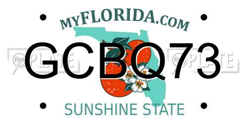GCBQ73 Florida License Plate